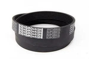 Ribbed Belt